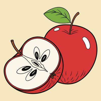 Ausgemalte Version: Detaillierter Apfel-Querschnitt und ganzer Apfel