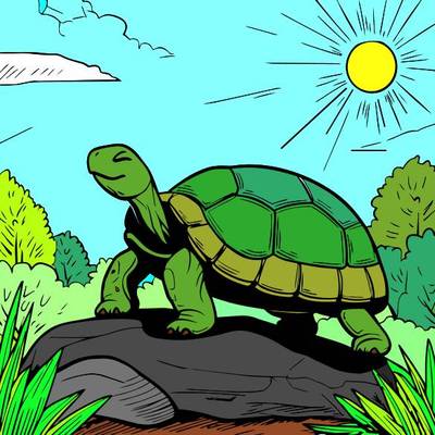 Version coloriée : Tortue joyeuse sur un rocher