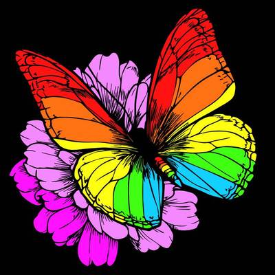 Farvelagt version: Sommerfugl- og blomstermotiv