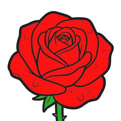 Version coloriée : Rose avec gouttes de rosée