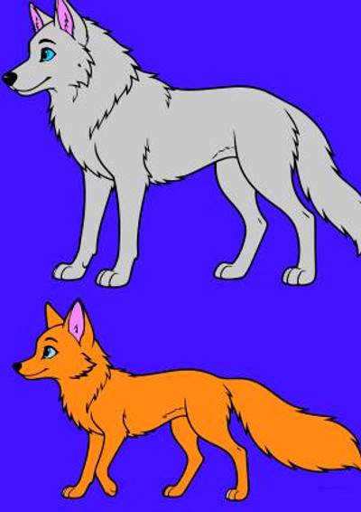 Version coloriée : Comparaison anatomique du loup et du renard