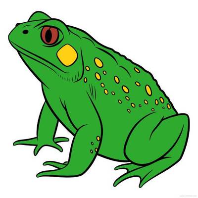 Colored version: Detailed spotted toad in side view