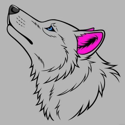Version coloriée : Tête de loup simple aux yeux bleus