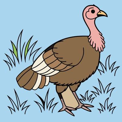 Colored version: Cartoon turkey in grass