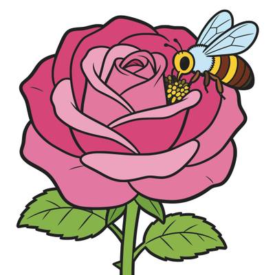 Colored version: Close-up rose with a pollen-gathering bee