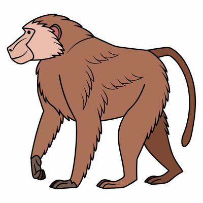 Colored version: Simple walking baboon outline