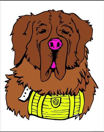 Colored version: St. Bernard head