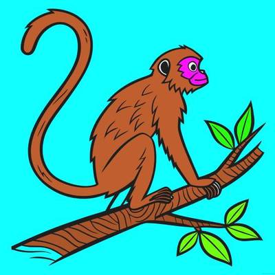 Colored version: Cute spider monkey on branch