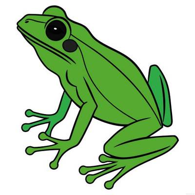 Colored version: Simple tree frog side view