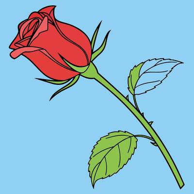 Colored version: Side-view rose bud with leaves