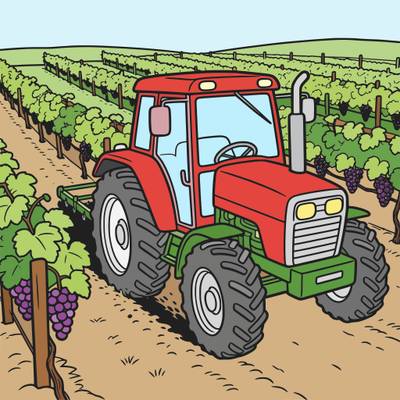 Colored version: Tractor working through vineyard rows