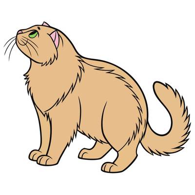 Ausgemalte Version: Perserkatze in Seitenansicht