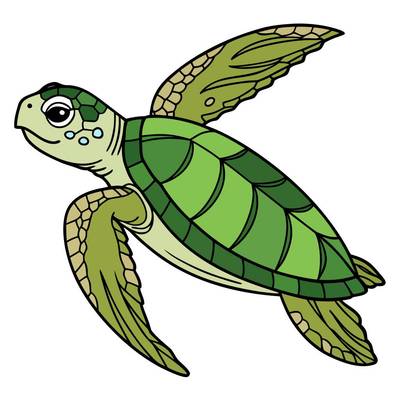 Version coloriée : Tortue luth en train de nager