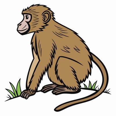 Colored version: Cute sitting baboon on grass