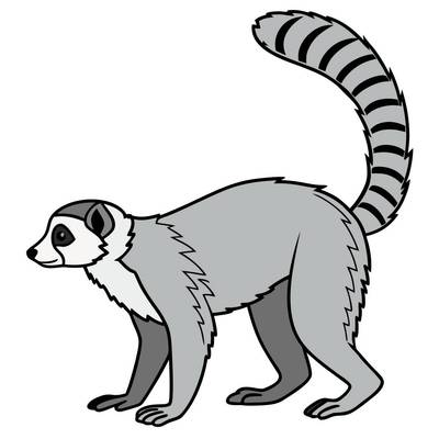 Colored version: Simple side view lemur
