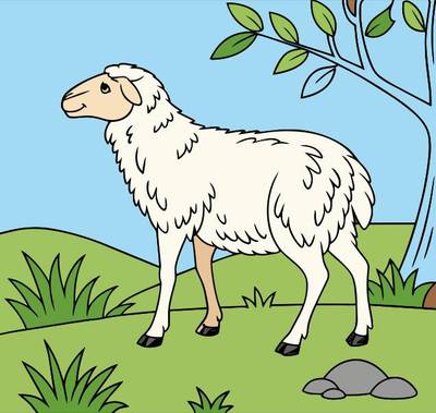 Colored version: Merino sheep in a pasture scene