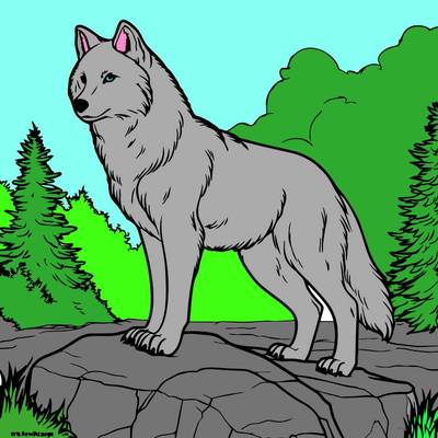 Colored version: Majestic wolf in nature