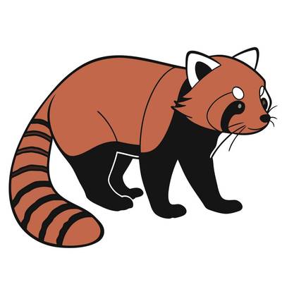 Ingekleurde versie: Realistische rode panda in zijaanzicht
