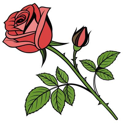 Fargelagt versjon: Rose på stilk med knopp og blader