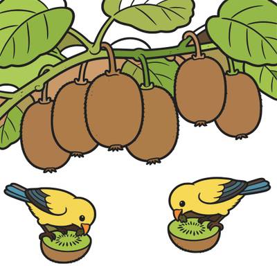 Ausgemalte Version: Kiwis an Ranken mit pickenden Vögeln