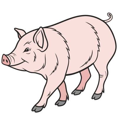 Colored version: Simple side view pot bellied pig