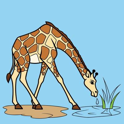 Versão colorida: Girafa bebendo água na poça