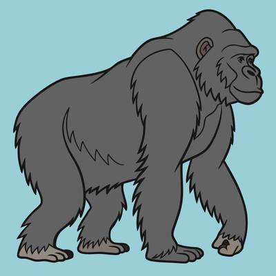 Ausgemalte Version: Einfacher Gorilla in Seitenansicht
