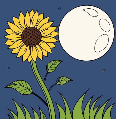 Ausgemalte Version: Hohe Sonnenblume unter dem Vollmond
