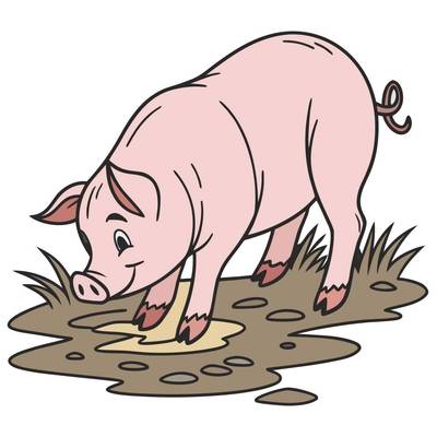 Väritetty versio: Sivulta kuvattu sika mudassa