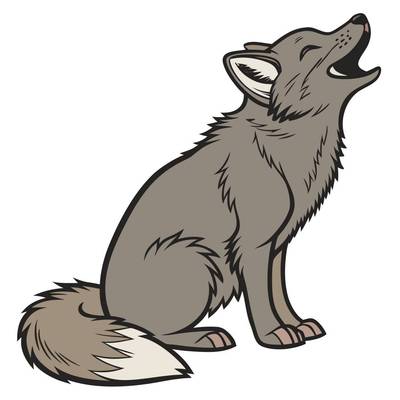 Ausgemalte Version: Illustration eines heulenden Polarfüchses