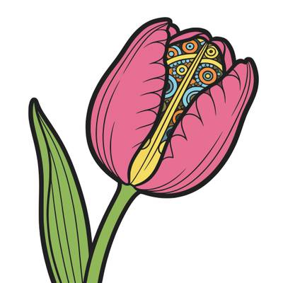 Versão colorida: Close detalhado de botão de tulipa