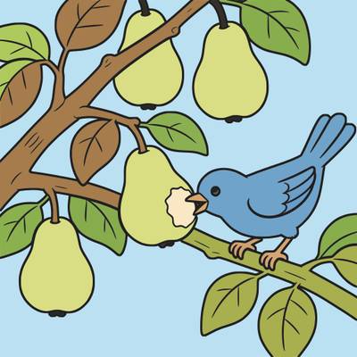 Version coloriée : Oiseau picorant une poire sur une branche