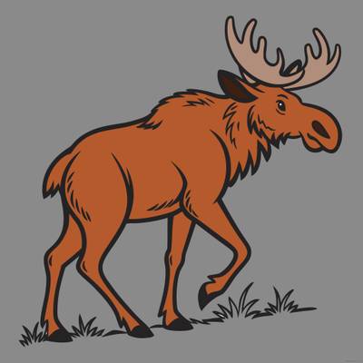 Colored version: Detailed walking moose