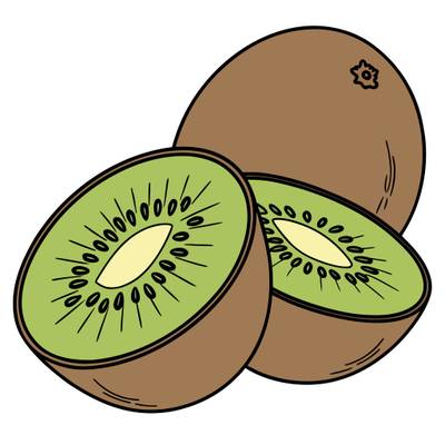 Version coloriée : Moitiés de kiwi et kiwi entier