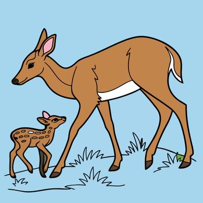 Colored version: Mother deer and fawn on grass