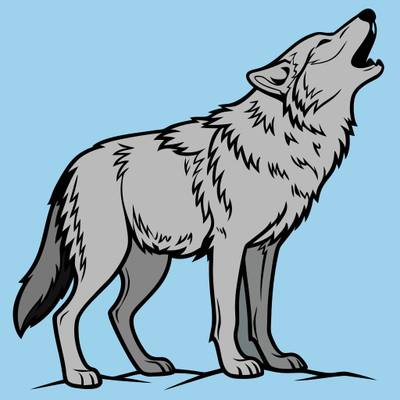 Version coloriée : Loup gris hurlant détaillé