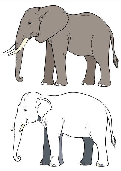 Versão colorida: Elefantes africano e asiático realistas