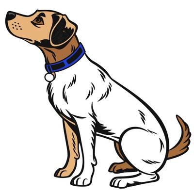 Ingekleurde versie: Zittende hond in zijaanzicht