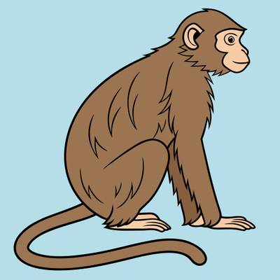Väritetty versio: Yksinkertainen istuva apina