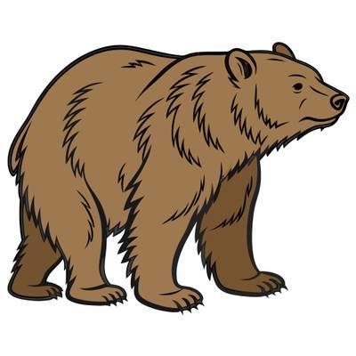Versione colorata: Orso nero realistico visto di lato