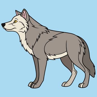 Version coloriée : Loup-husky simple vu de profil