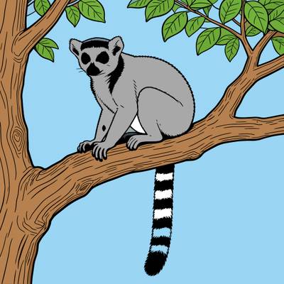 Väritetty versio: Kissamaki puun oksalla