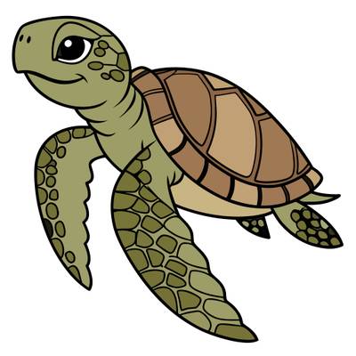 Version coloriée : Tortue de mer au motif de coquillage