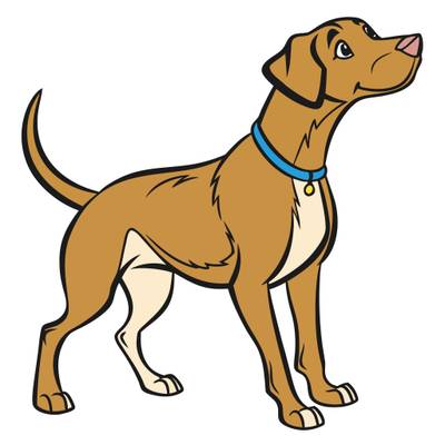Ingekleurde versie: Hond van opzij met halsband