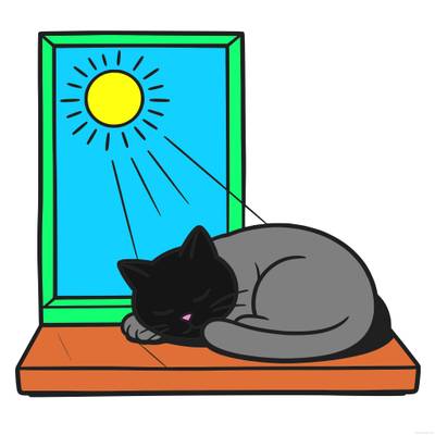 Versão colorida: Gato dormindo na janela