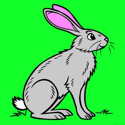 Farvelagt version: Realistisk siddende hare