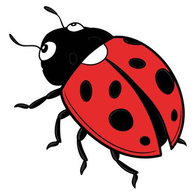 Väritetty versio: Leppäkertun lähikuva