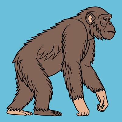 Colored version: Realistic side-view chimpanzee