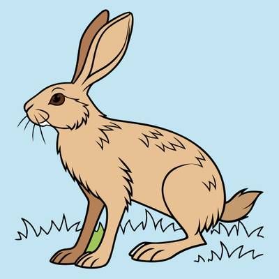 Färglagd version: Tecknad vild hare i gräs