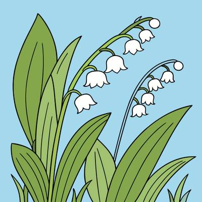 Colored version: Close-up lilies of the valley